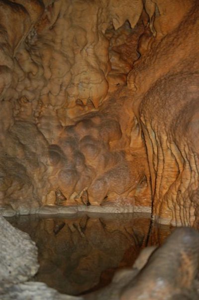 dsc 0305